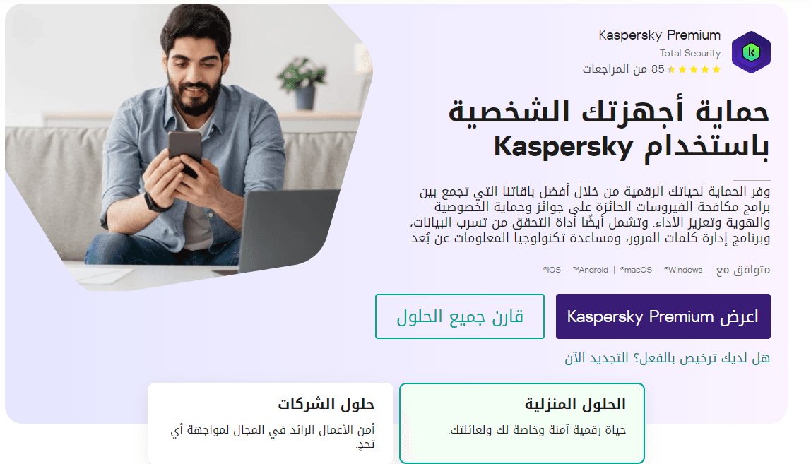 Kaspersky B2B